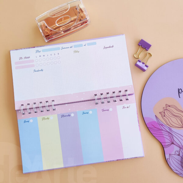 KIT - PROTEGIDA N°2 - Imagen 3
